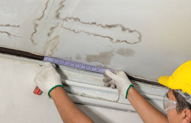 Reliable Water Removal contractor in Martin, SD by Water Damage Irwin